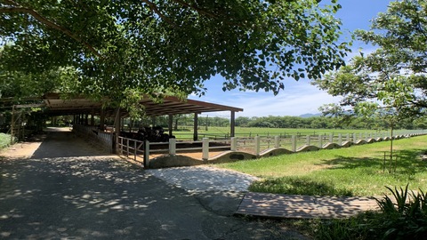 花蓮瑞穗牧場,親子旅遊景點,花蓮景點