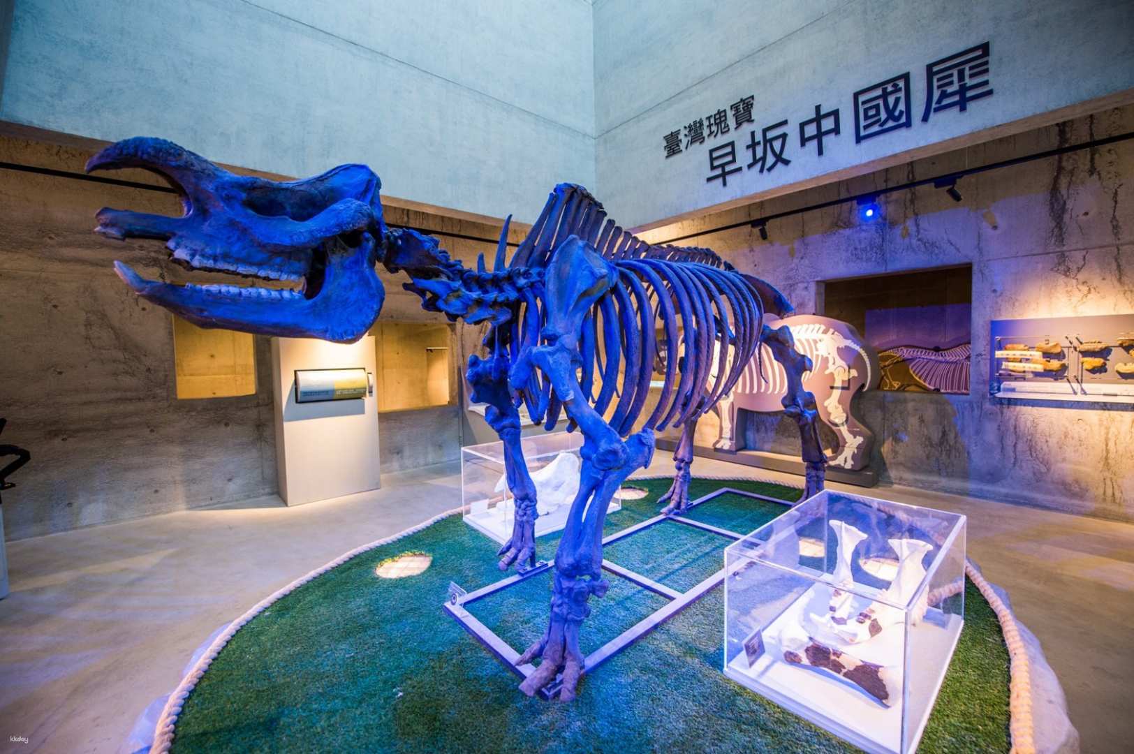 台南-臺南左鎮化石博物館